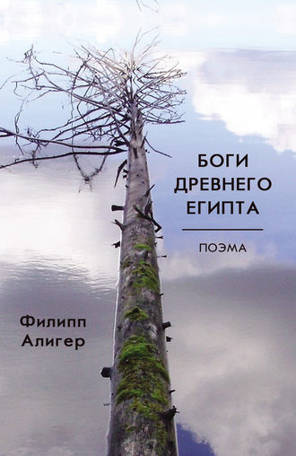 Обложка книги «Боги Древнего Египта»