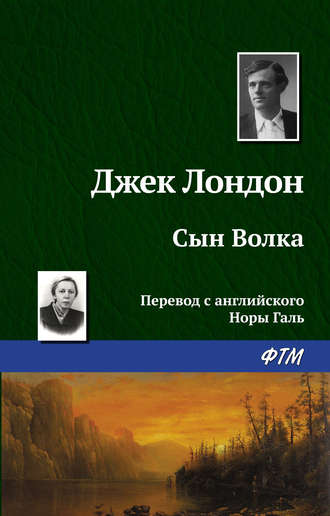 Обложка книги «Сын Волка»