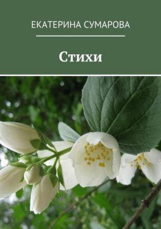 Обложка книги «Стихи»