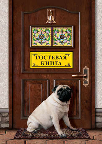 Обложка книги «Гостевая книга»