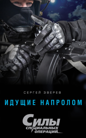 Обложка книги «Идущие напролом»