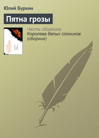 Обложка книги «Пятна грозы»