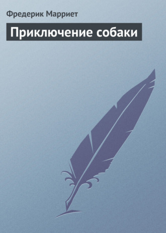 Обложка книги «Приключение собаки»