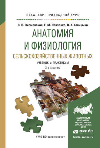 Людмила Александровна Голицына. Анатомия и физиология сельскохозяйственных животных 2-е изд., испр. и доп. Учебник и практикум для прикладного бакалавриата