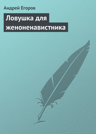 Обложка книги «Ловушка для женоненавистника»
