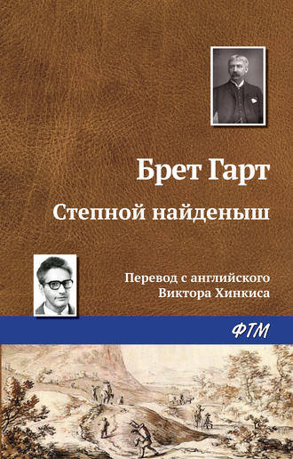 Обложка книги «Степной найденыш»