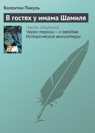 Обложка книги «В гостях у имама Шамиля»