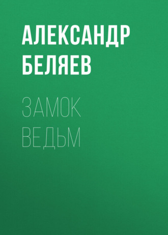 Обложка книги «Замок ведьм»