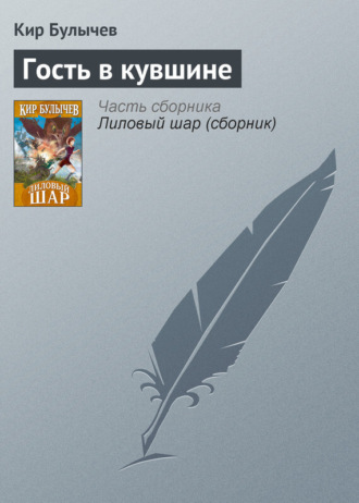 Обложка книги «Гость в кувшине»