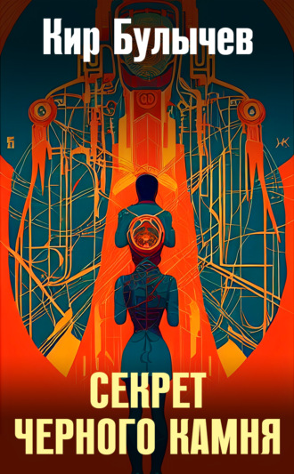 Обложка книги «Секрет черного камня»