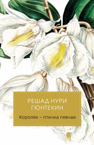 Решад Нури Гюнтекин. Королек – птичка певчая