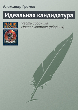 Обложка книги «Идеальная кандидатура»