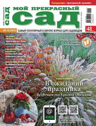 Обложка книги «Мой прекрасный сад №12/2015»
