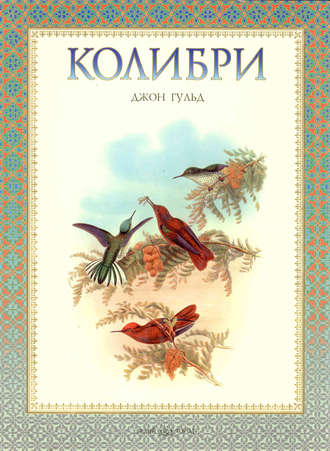 Обложка книги «Колибри»