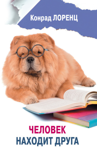 Человек находит друга. Конрад Лоренц