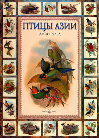 Обложка книги «Птицы Азии»