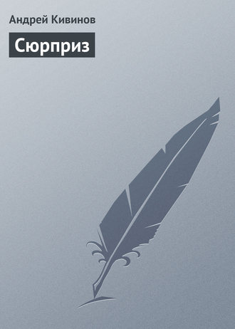 Обложка книги «Сюрприз»
