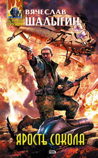 Вячеслав Шалыгин. Ярость Сокола