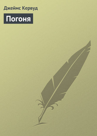 Обложка книги «Погоня»