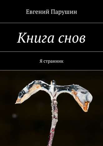 Евгений Парушин. Книга снов