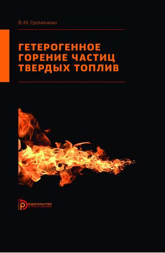 Виктор Гремячкин. Гетерогенное горение частиц твердых топлив