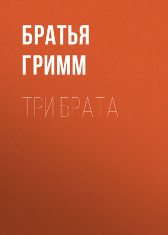 Обложка книги «Три брата»