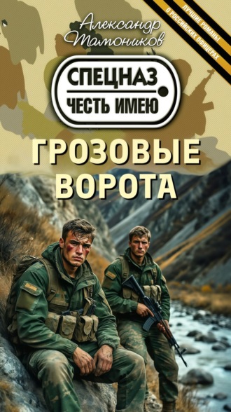 Обложка книги «Грозовые ворота»