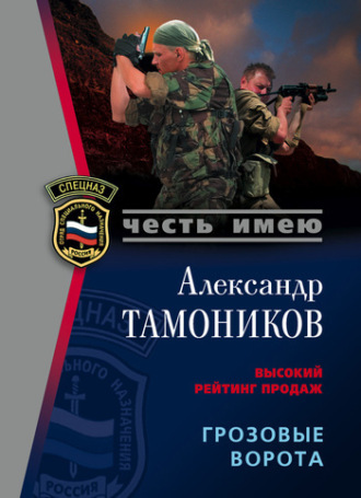 Александр Тамоников. Грозовые ворота