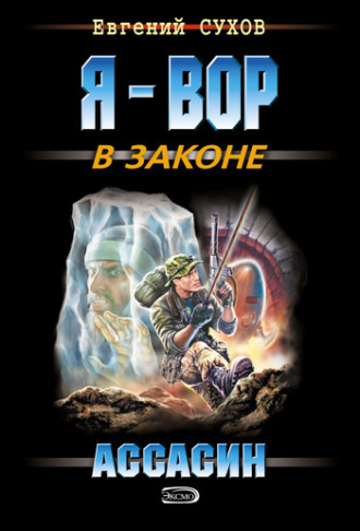 Обложка книги «Ассасин»