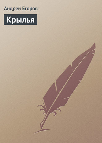 Обложка книги «Крылья»