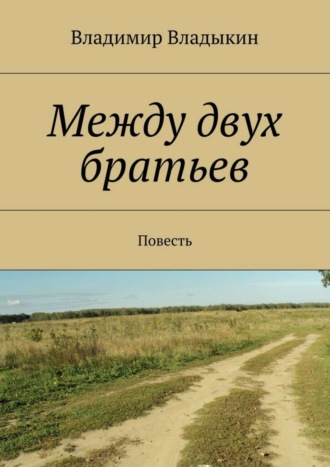 Владимир Аполлонович Владыкин. Между двух братьев