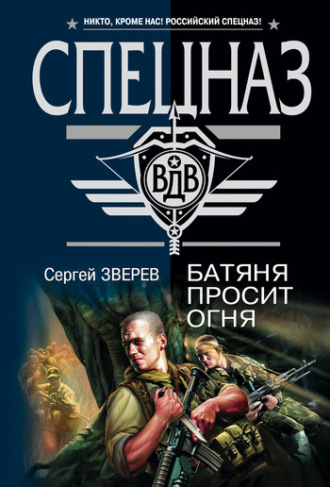 Обложка книги «Батяня просит огня»