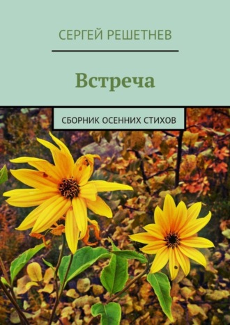 Обложка книги «Встреча»