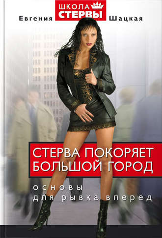 Обложка книги «Стерва покоряет большой город. Основы для рывка вперед»