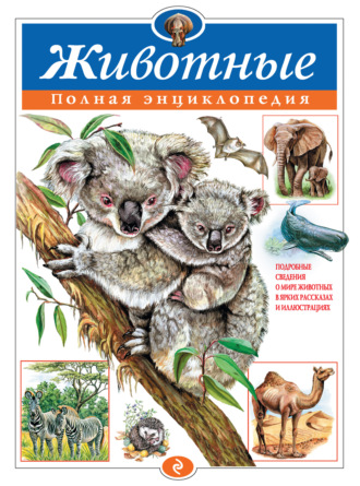 Обложка книги «Животные. Полная энциклопедия»