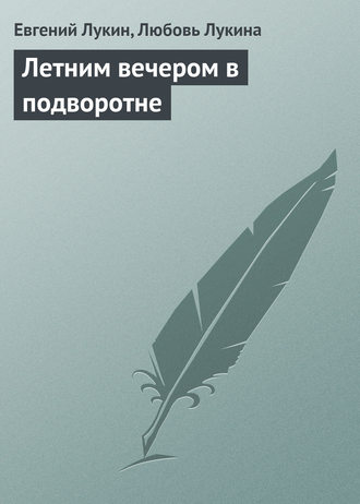 Обложка книги «Летним вечером в подворотне»