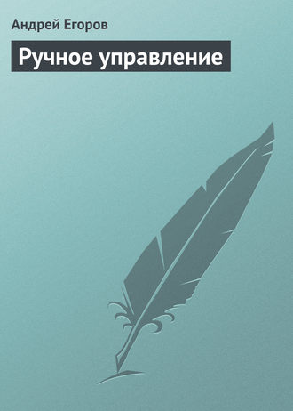 Андрей Егоров. Ручное управление