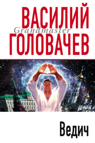 Обложка книги «Ведич»