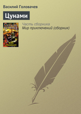Обложка книги «Цунами»