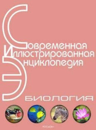 Обложка книги «Энциклопедия «Биология» (с иллюстрациями)»