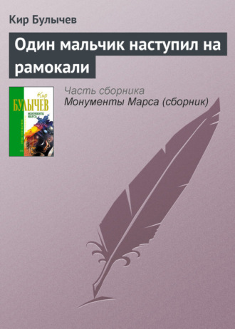 Обложка книги «Один мальчик наступил на рамокали»