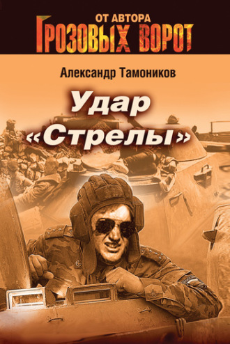 Обложка книги «Удар «Стрелы»»
