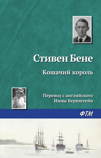 Обложка книги «Кошачий король»