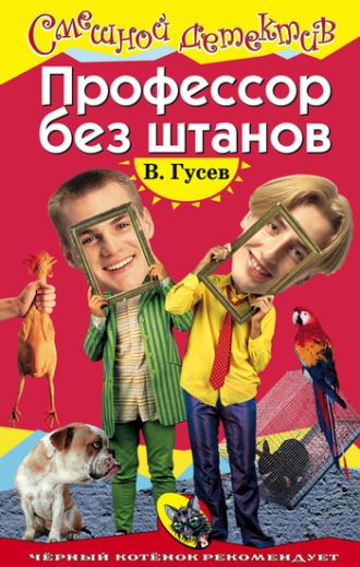Обложка книги «Профессор без штанов»