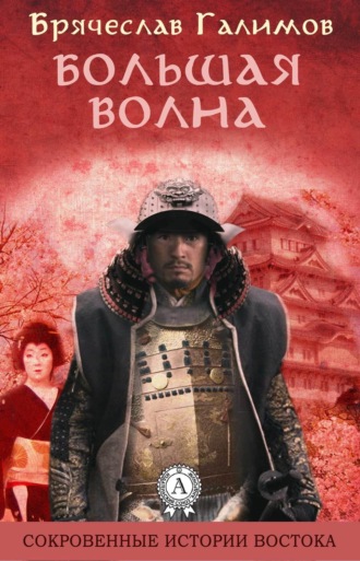Обложка книги «Большая волна»