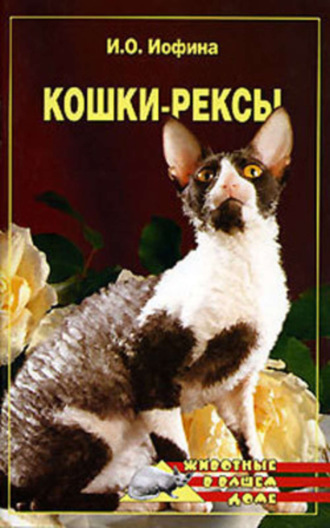 Обложка книги «Кошки – рексы»