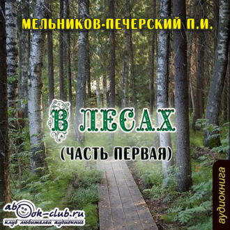 Обложка книги «В лесах (часть первая)»