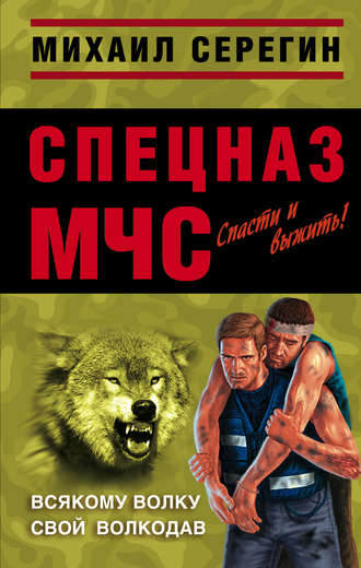 Обложка книги «Всякому волку свой волкодав»