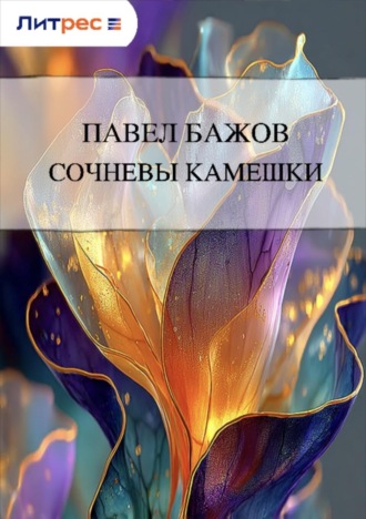 Обложка книги «Сочневы камешки»