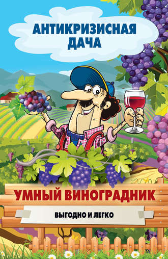 Обложка книги «Умный виноградник. Выгодно и легко»